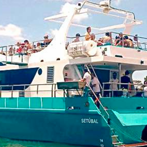 Catamaran 56